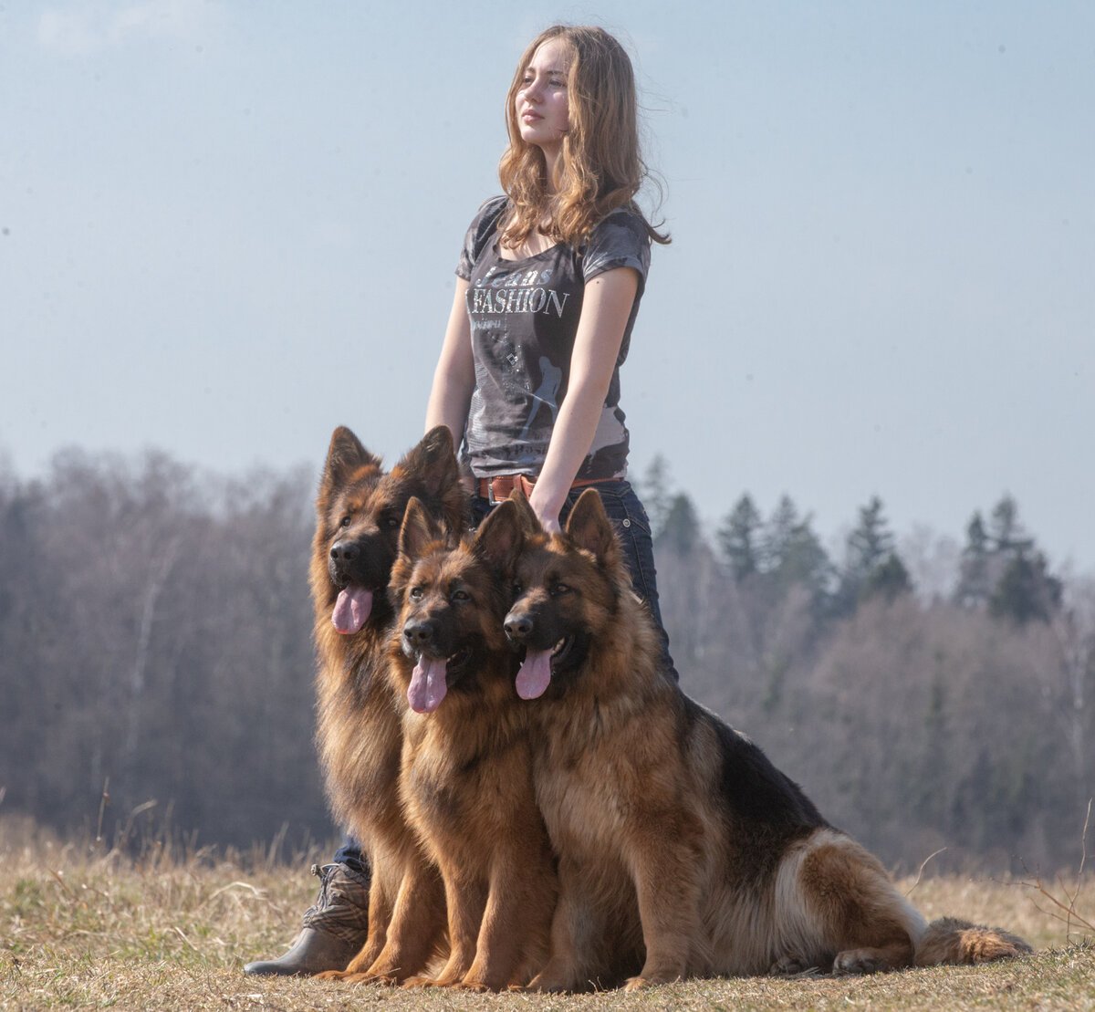 Питомник Alex Hoff