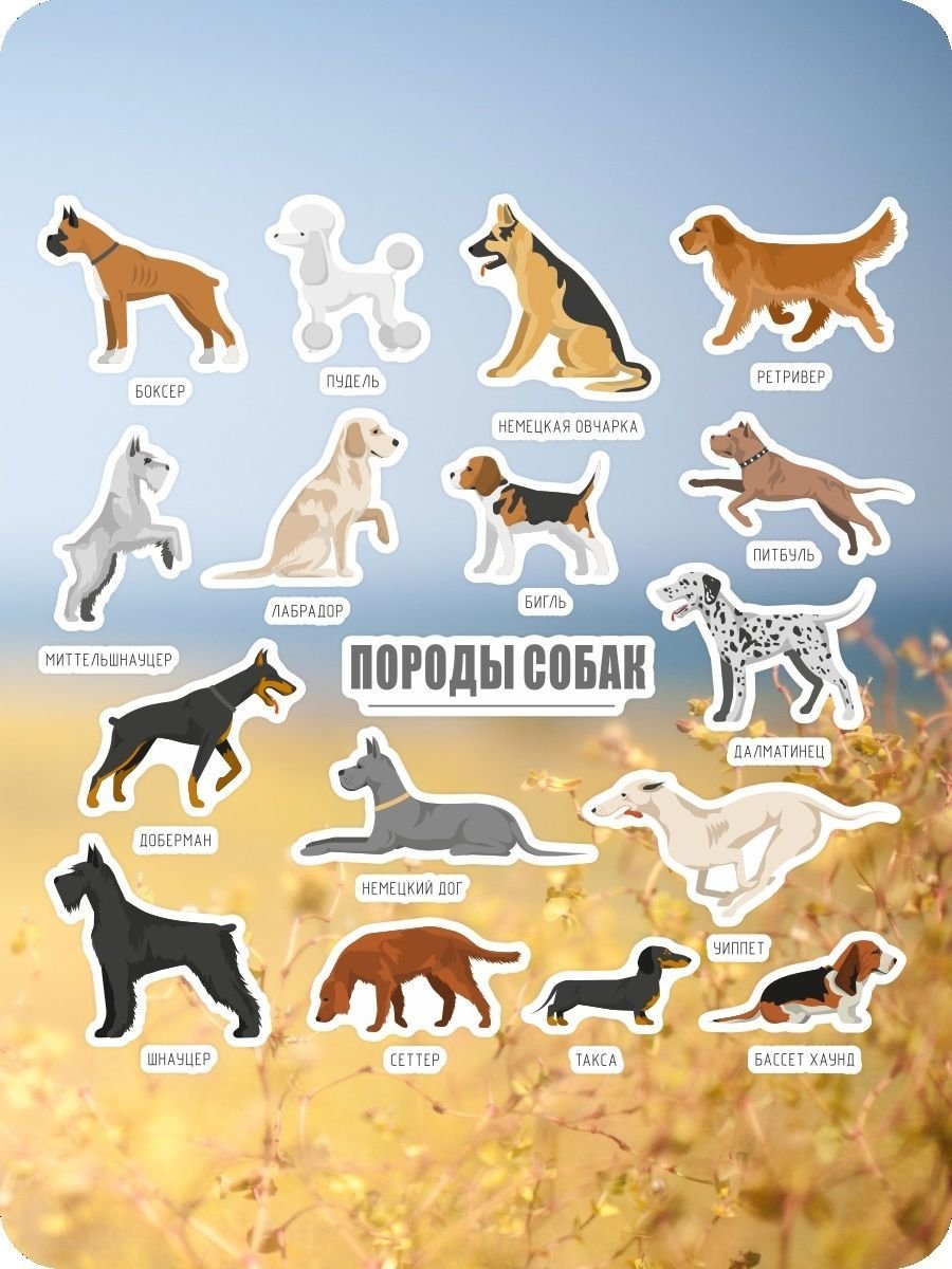 500 Наклеек всех пород собак