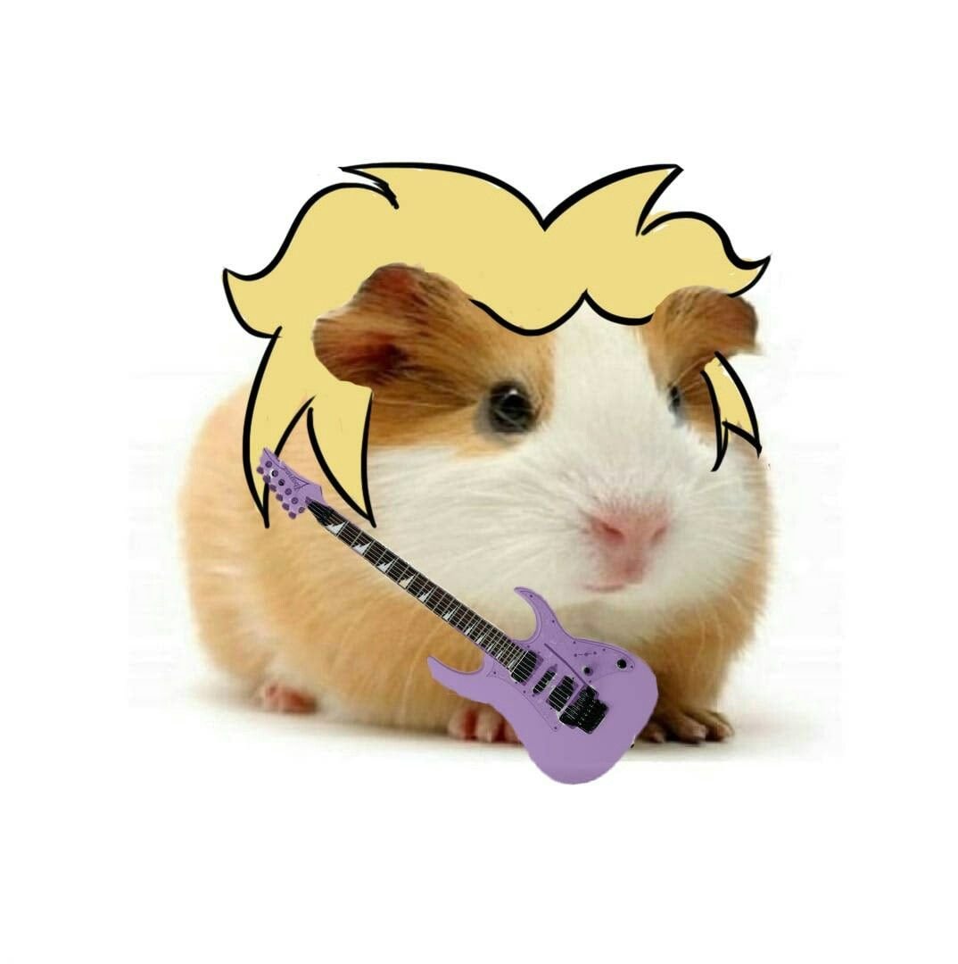 Хомяк в виде персонажей