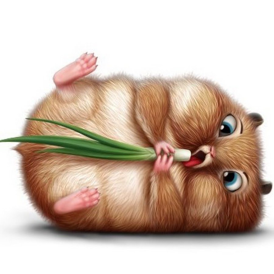 Мультяшные хомяки