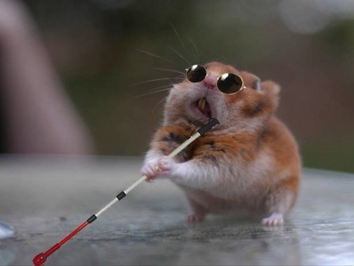 Ржачный хомяк