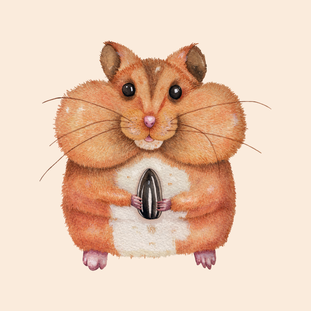 Хомячок арт