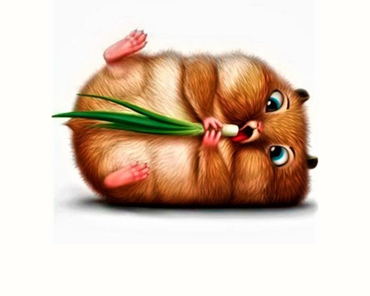 С добрым утром хомяк