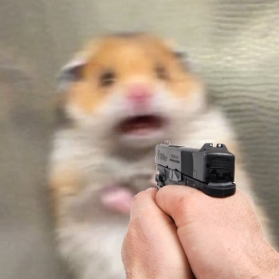 Испуганный хомяк