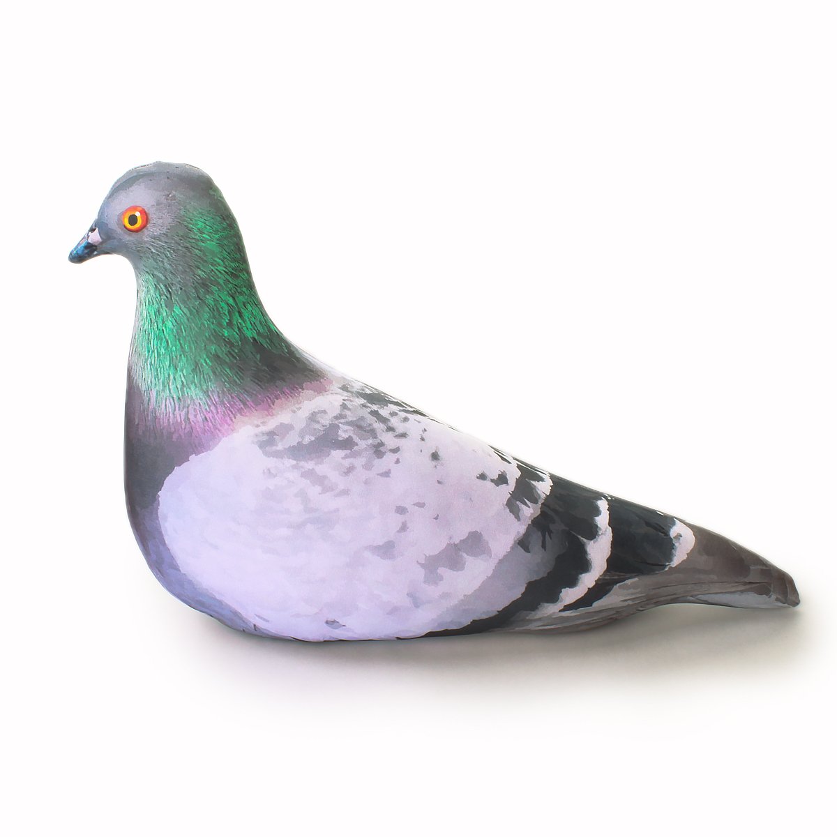 Голубь блоптоп