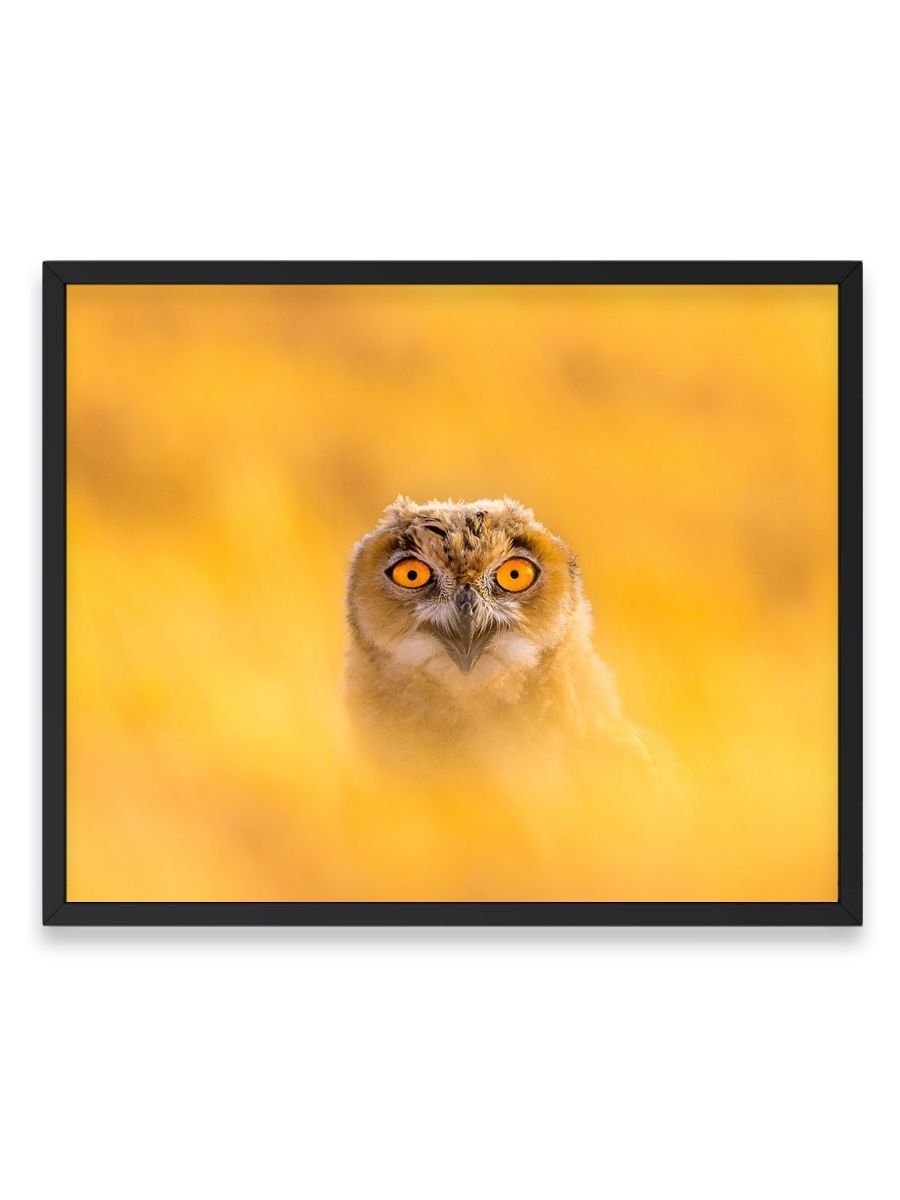 Сова (желтая)