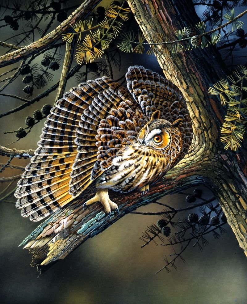 Художник Jan Weenink