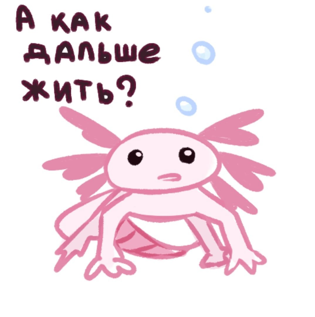 Аксолотль на аву