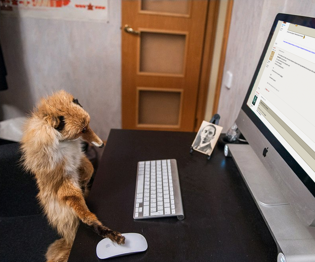 Лиса за компьютером