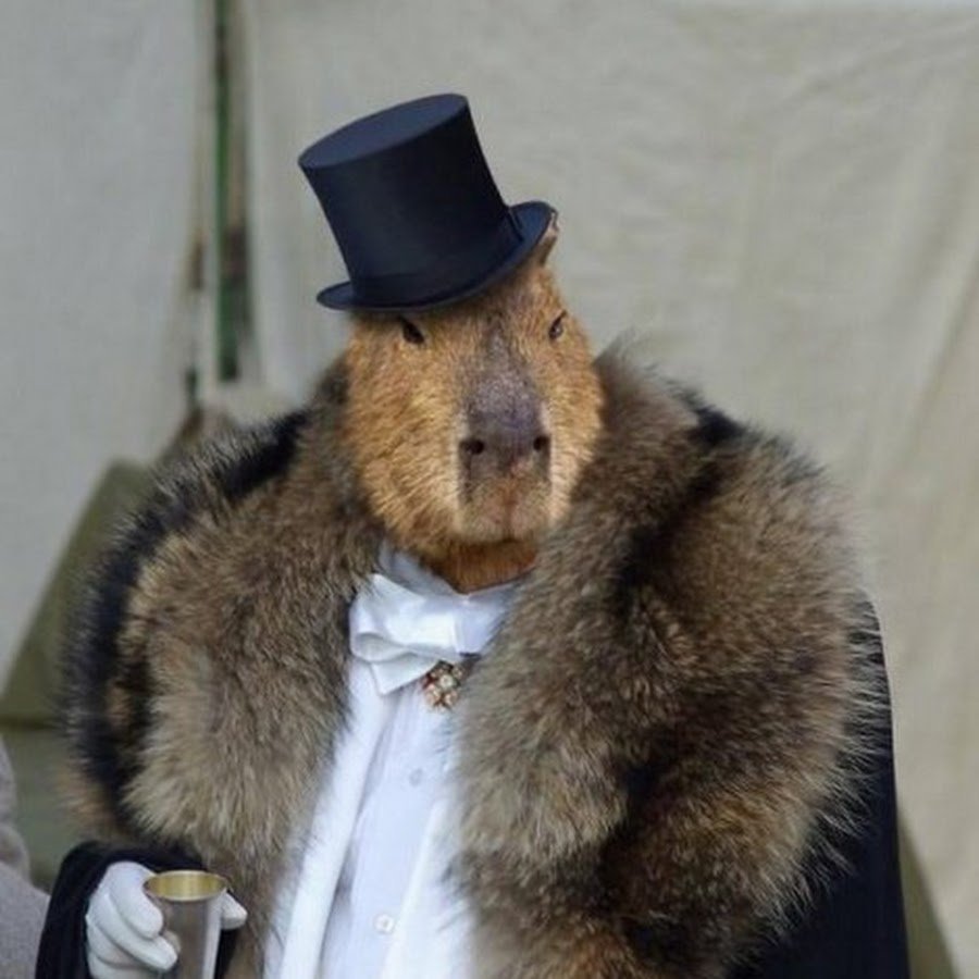 Капибара в шляпе