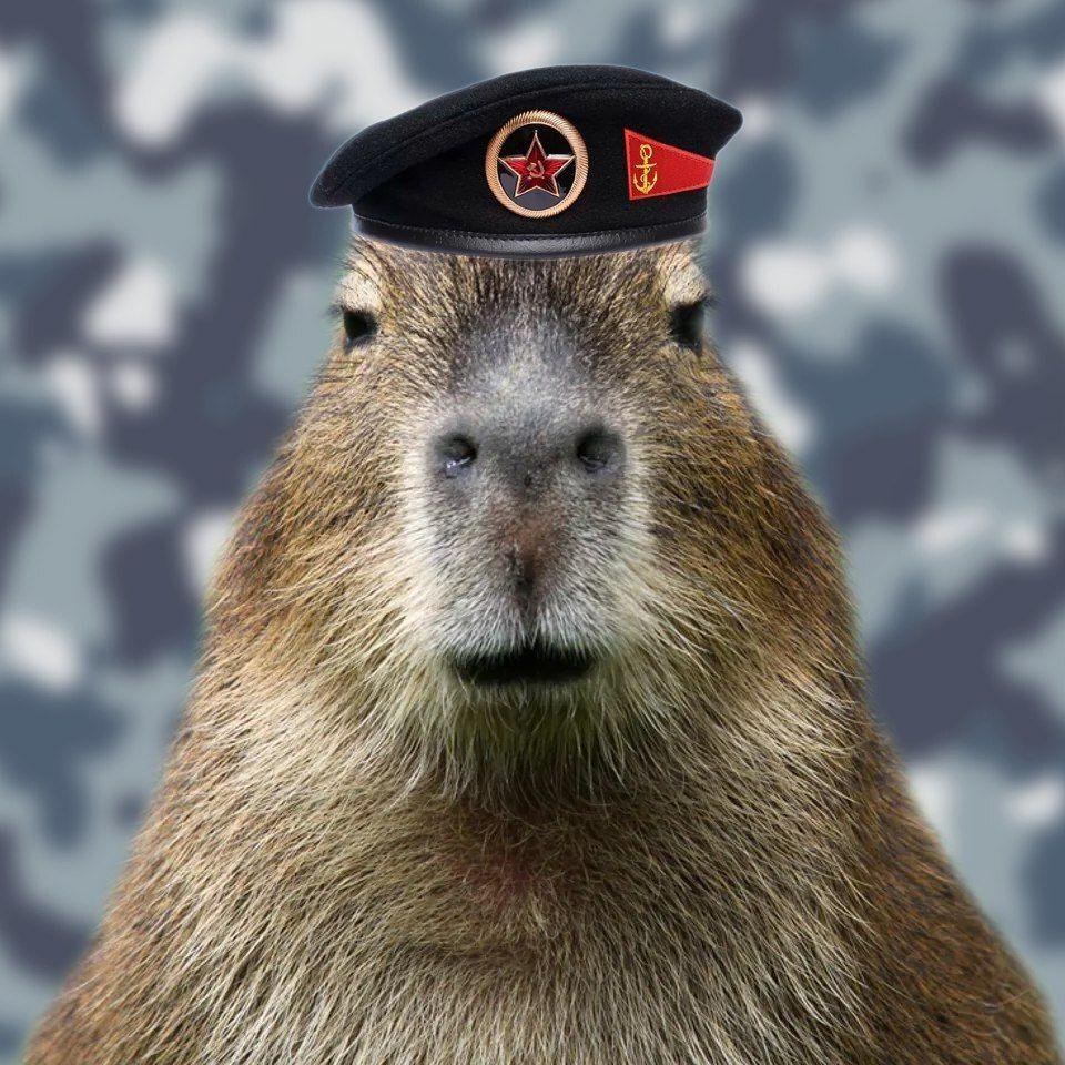 Капибара аватарка