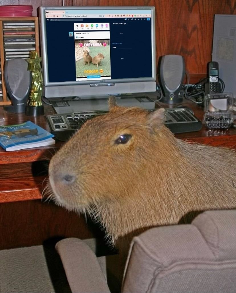 Огромные морские свинки капибара