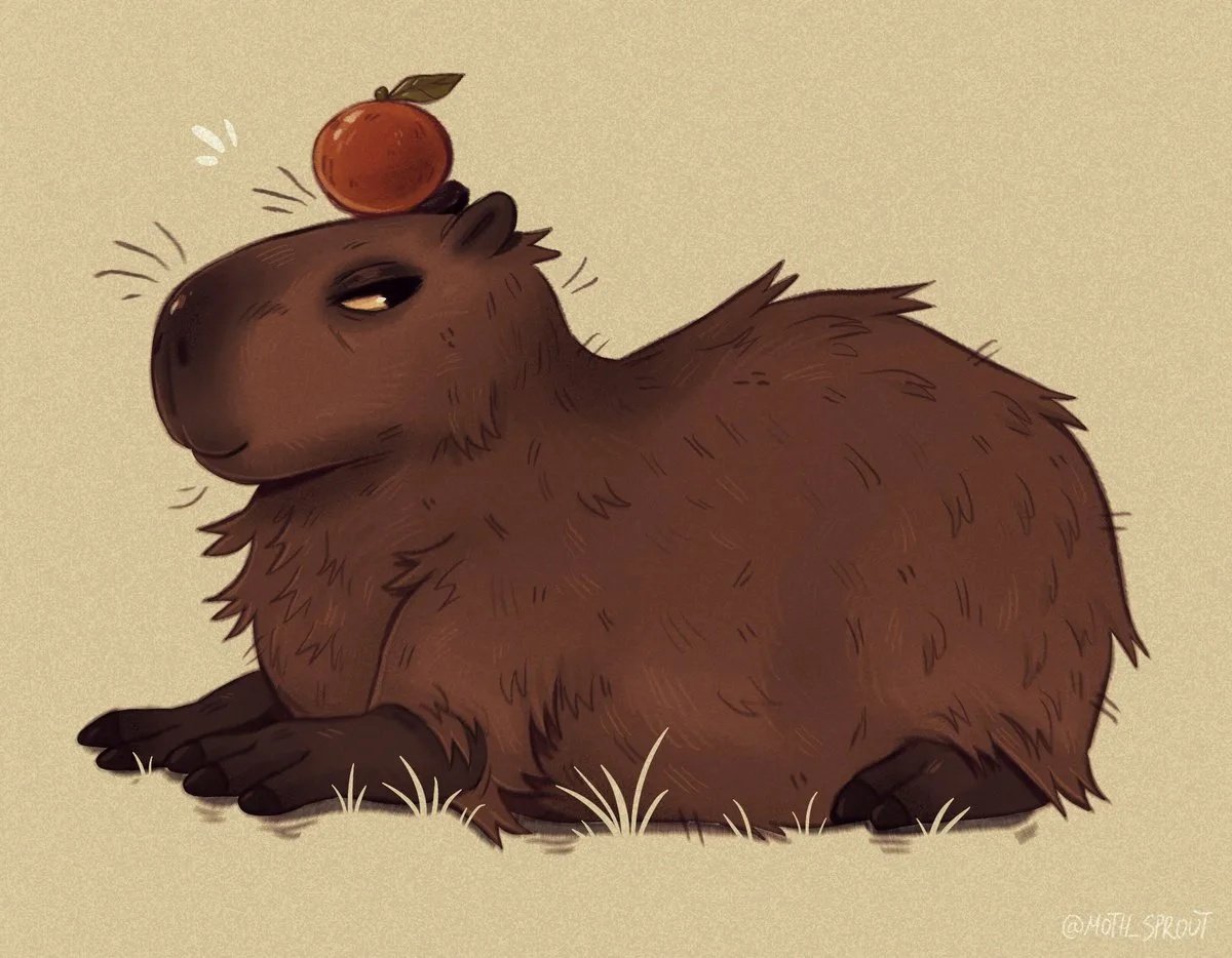 Капибара смешная