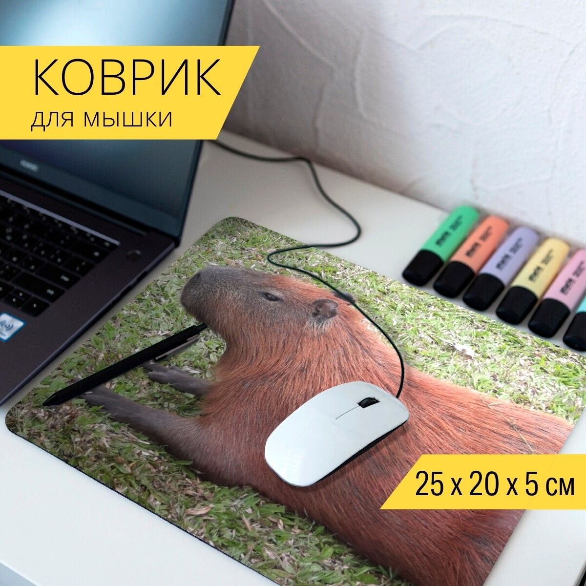 Факты о капибарах