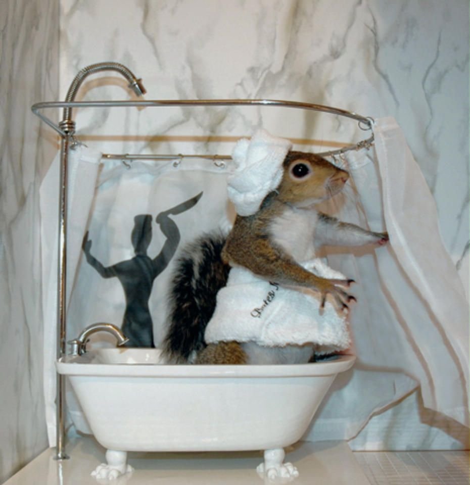 Мышь в ванне