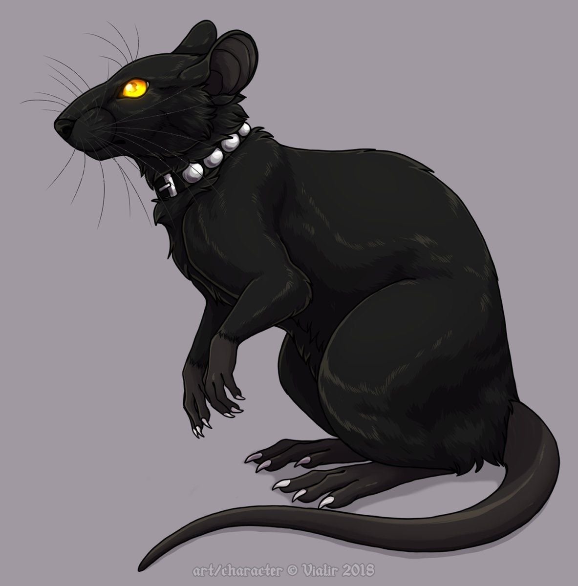 Фамильяр крыса