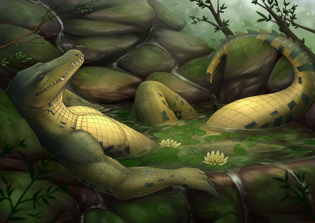 Аллигатор референс