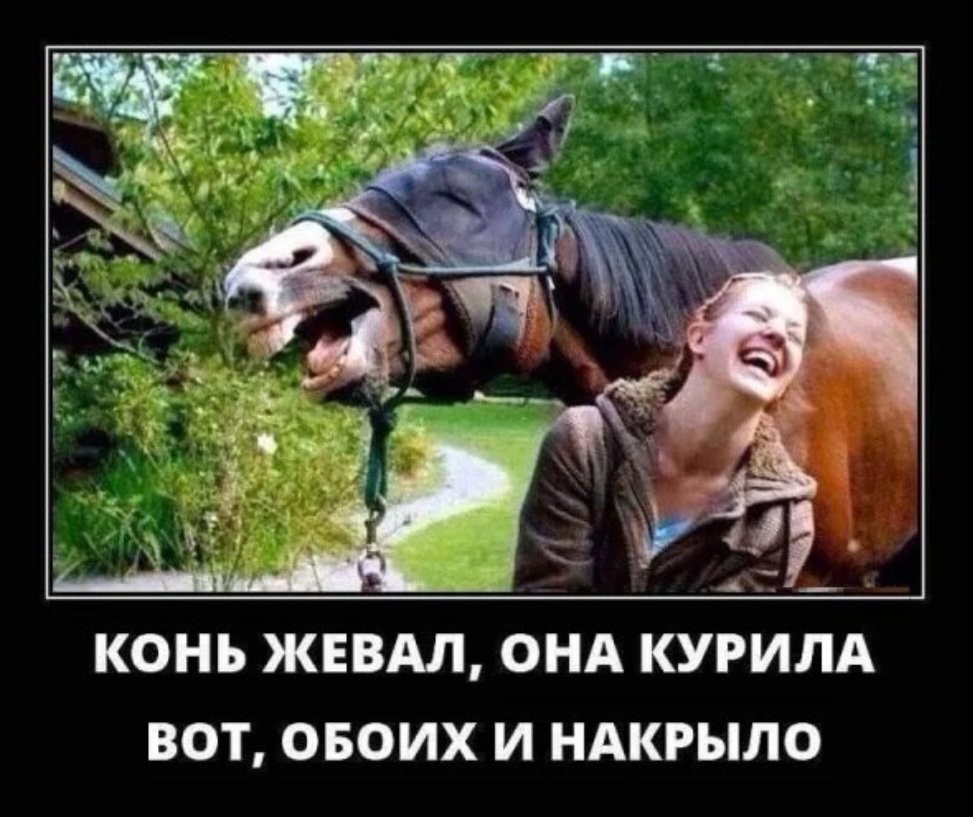 Демотиваторы до слез