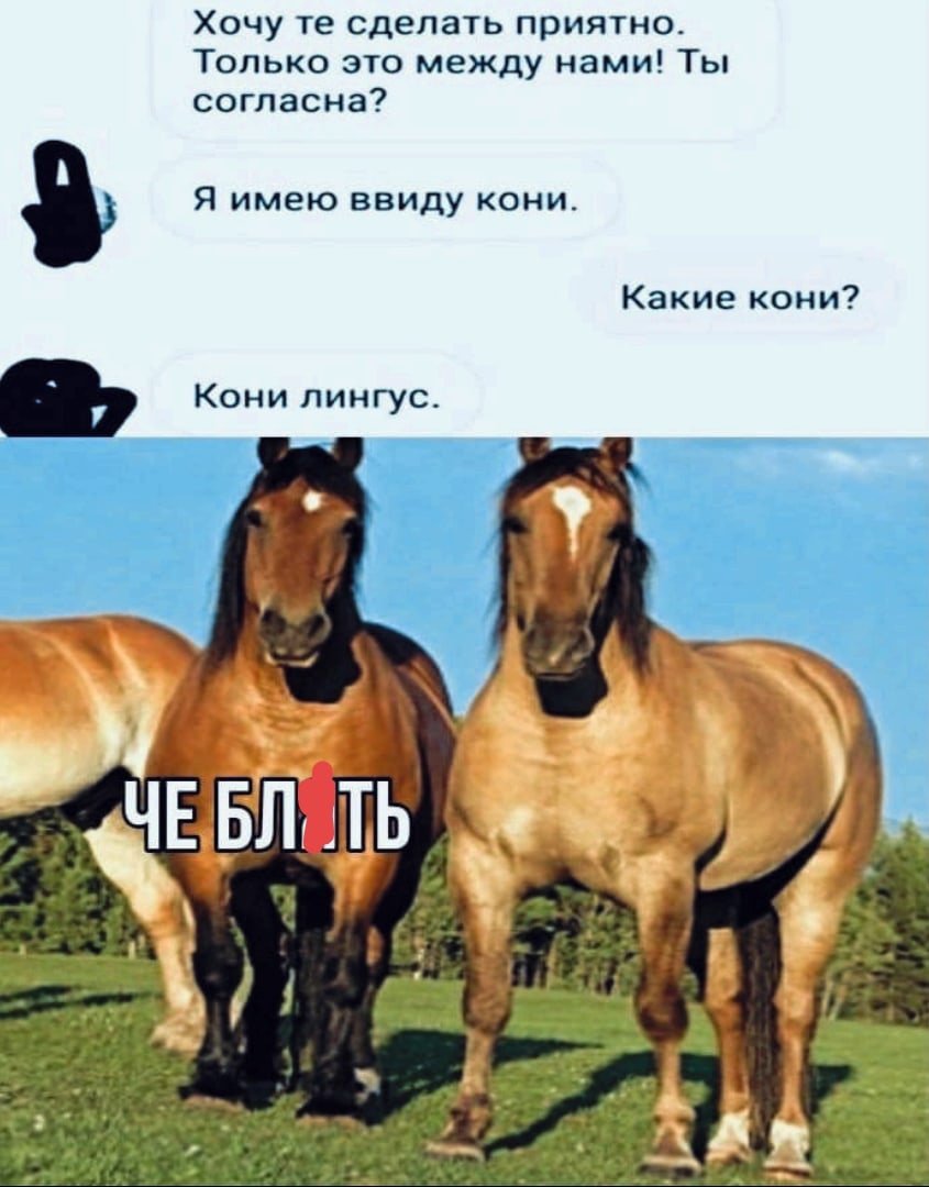 Смешная лошадь