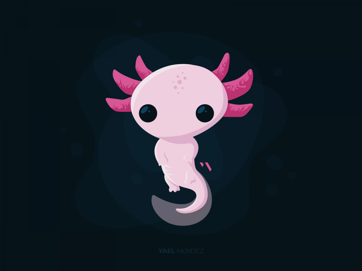 Аксолотль аниме арт