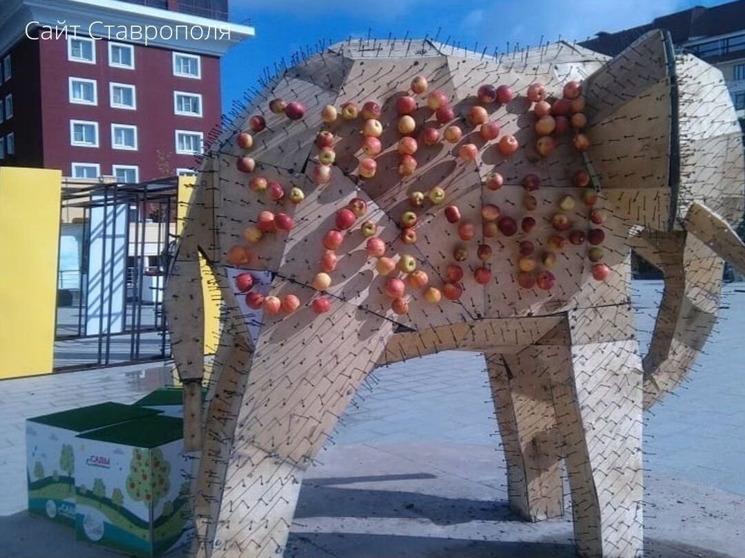 Яблочный слон Ставрополь