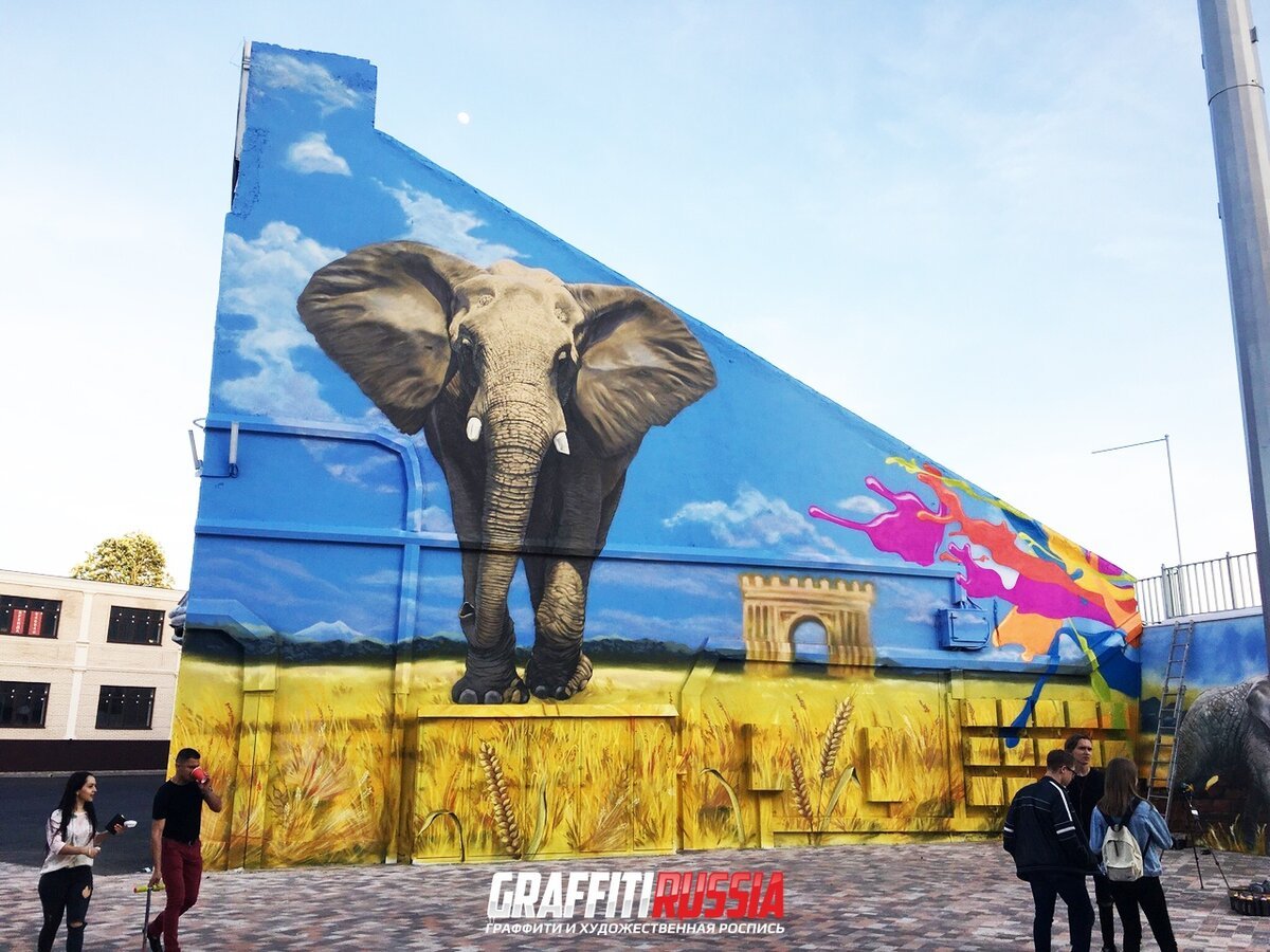 Стадион Динамо Ставрополь граффити слона
