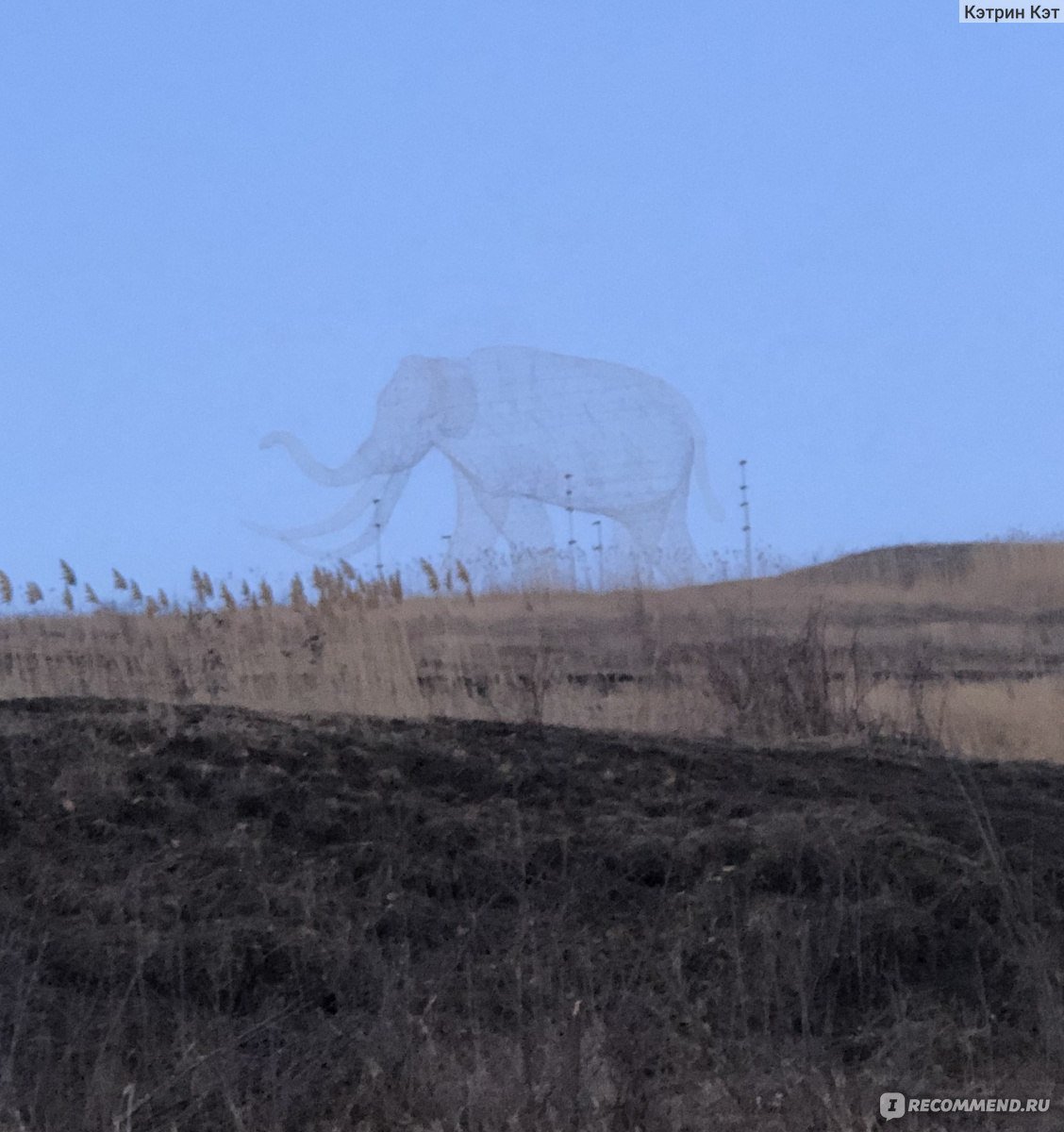 Южный слон Ставрополь арт объект
