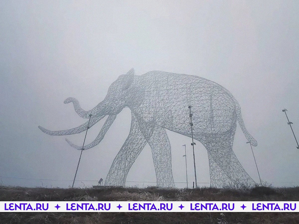 Ставрополь Дёмино слон