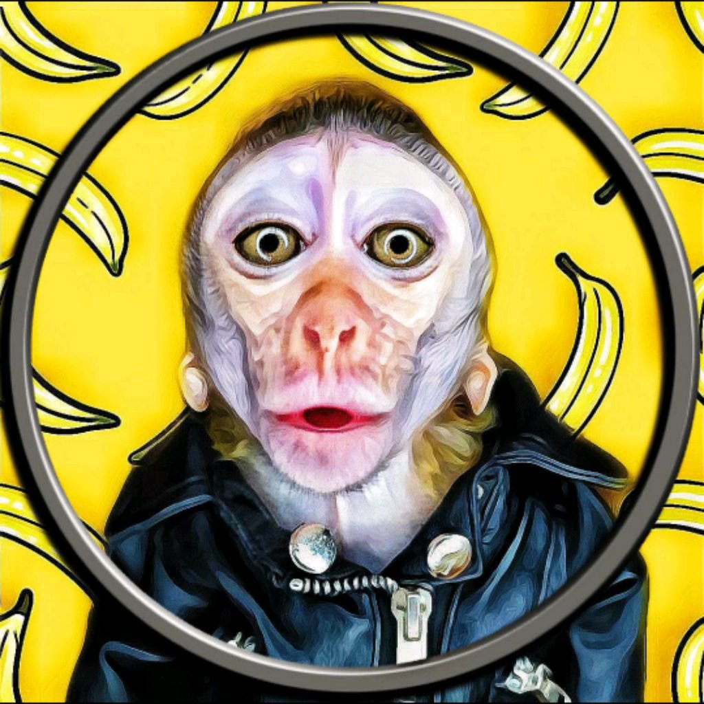 Обезьяна Абу