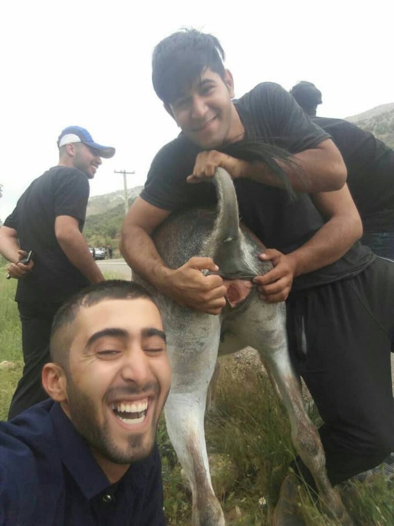 Хачики красивые