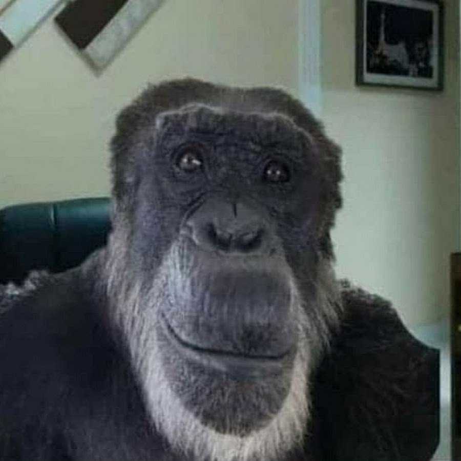 Обезьяна улыбается