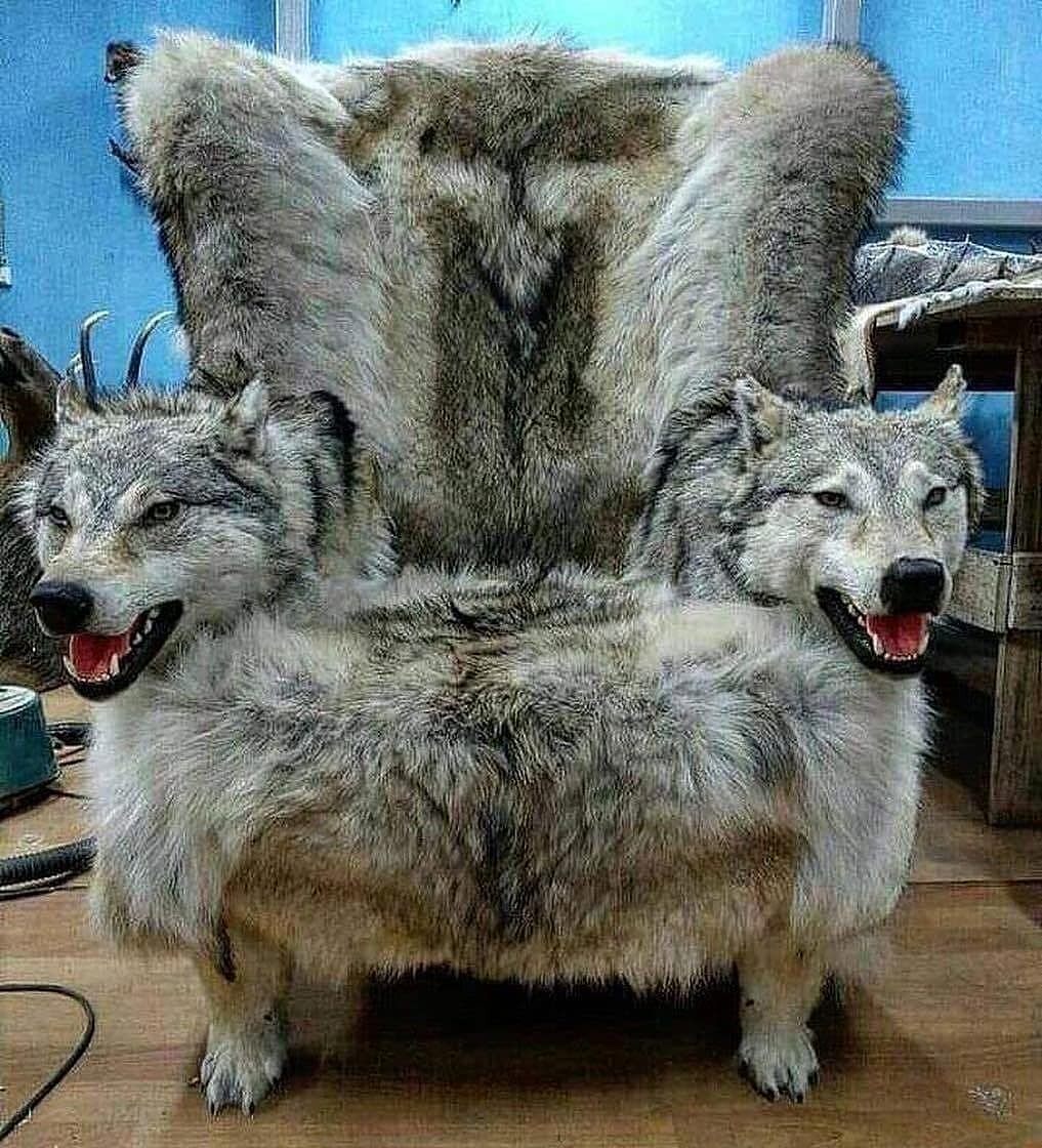 Кресло из Волков