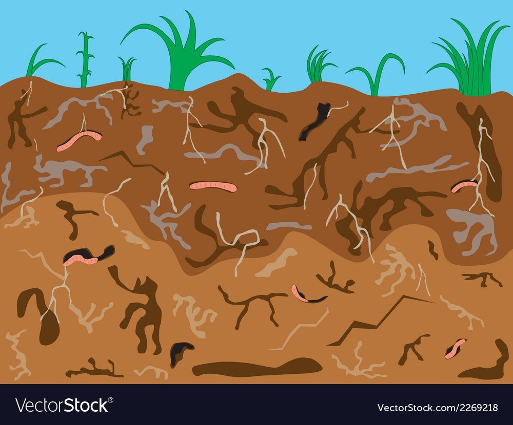 Червяки в земле для детей