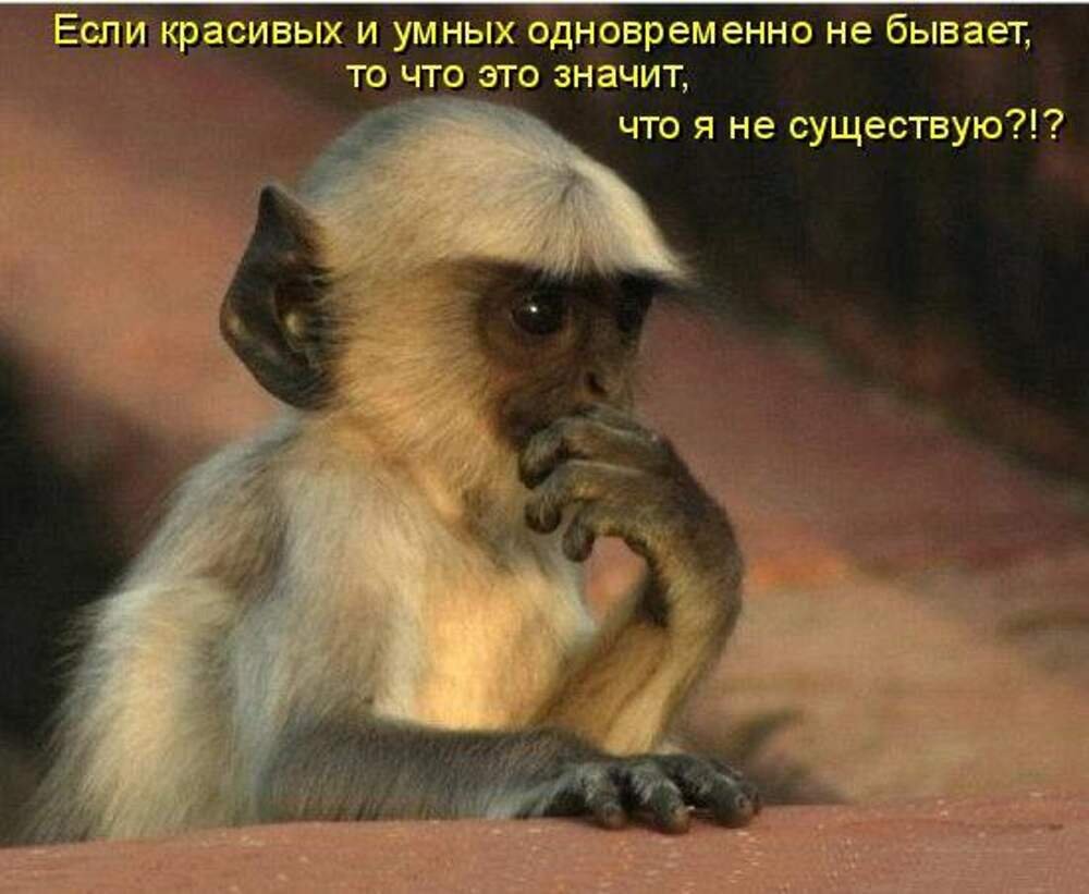 Мудрые животные
