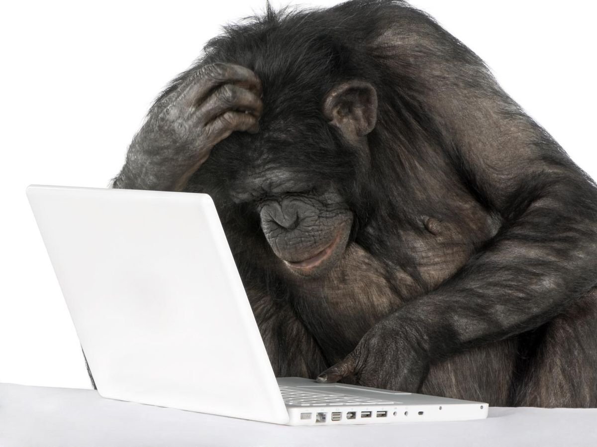 Обезьяна за компьютеро
