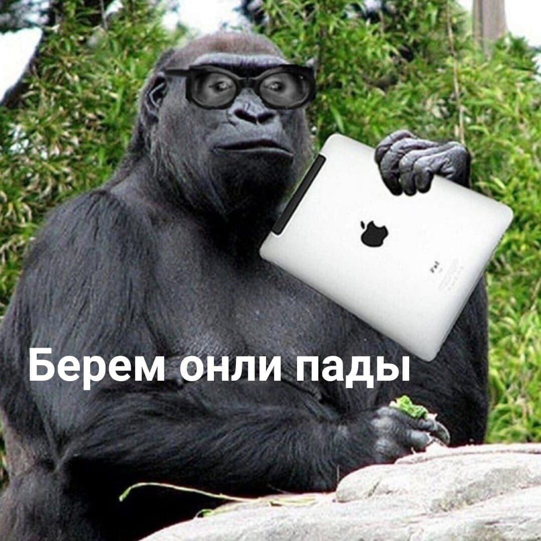 Обезьяна с айфоном
