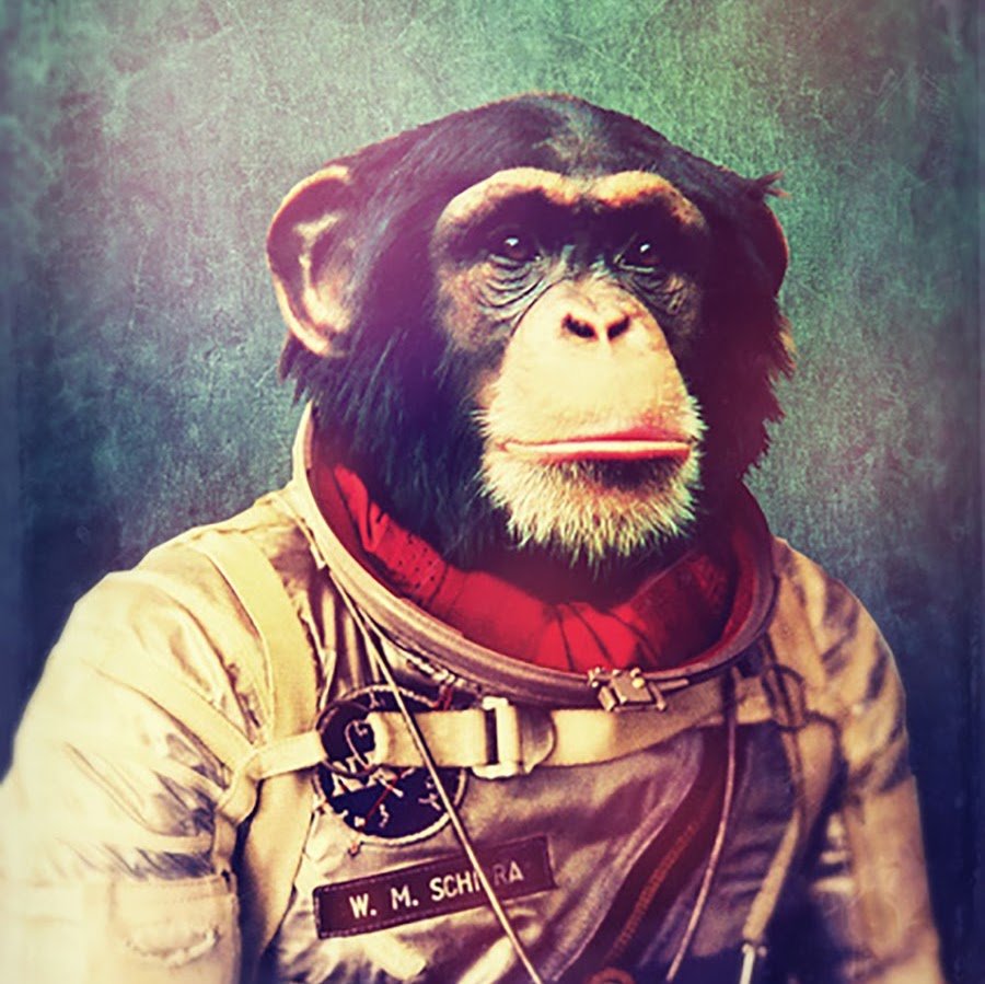 Шимпанзе Хэм космонавт