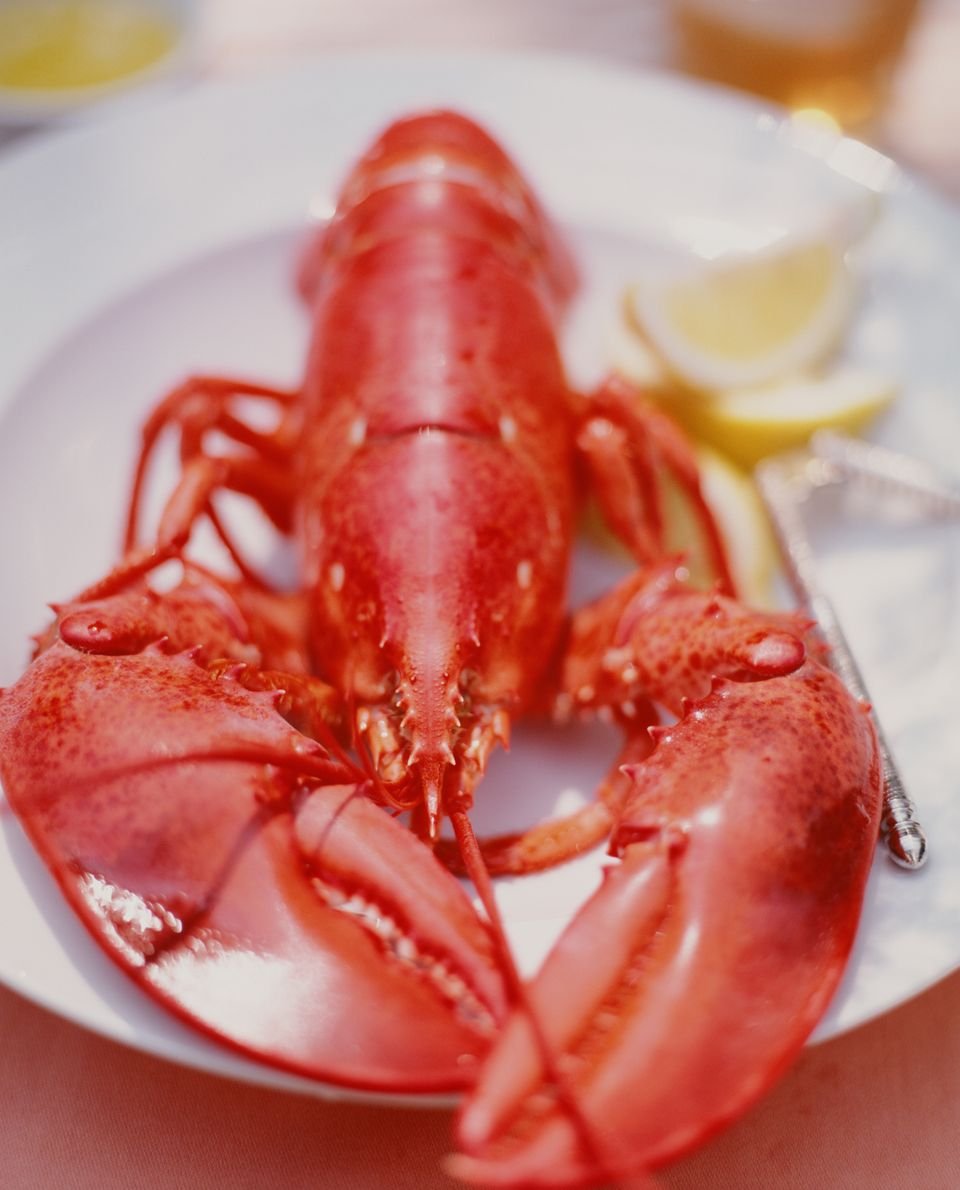 Морепродукты Омар лангуст