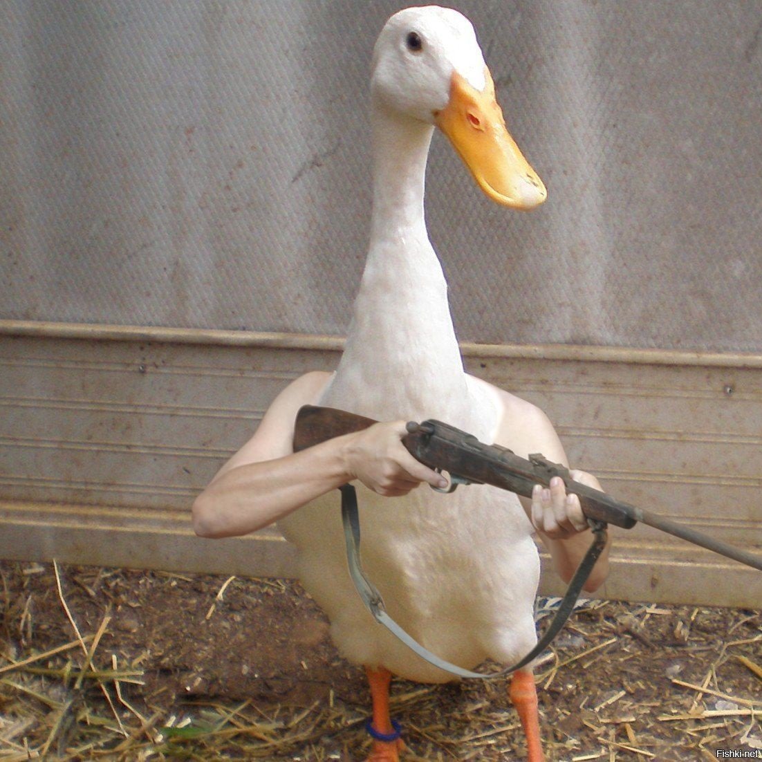 Боевой Гусь