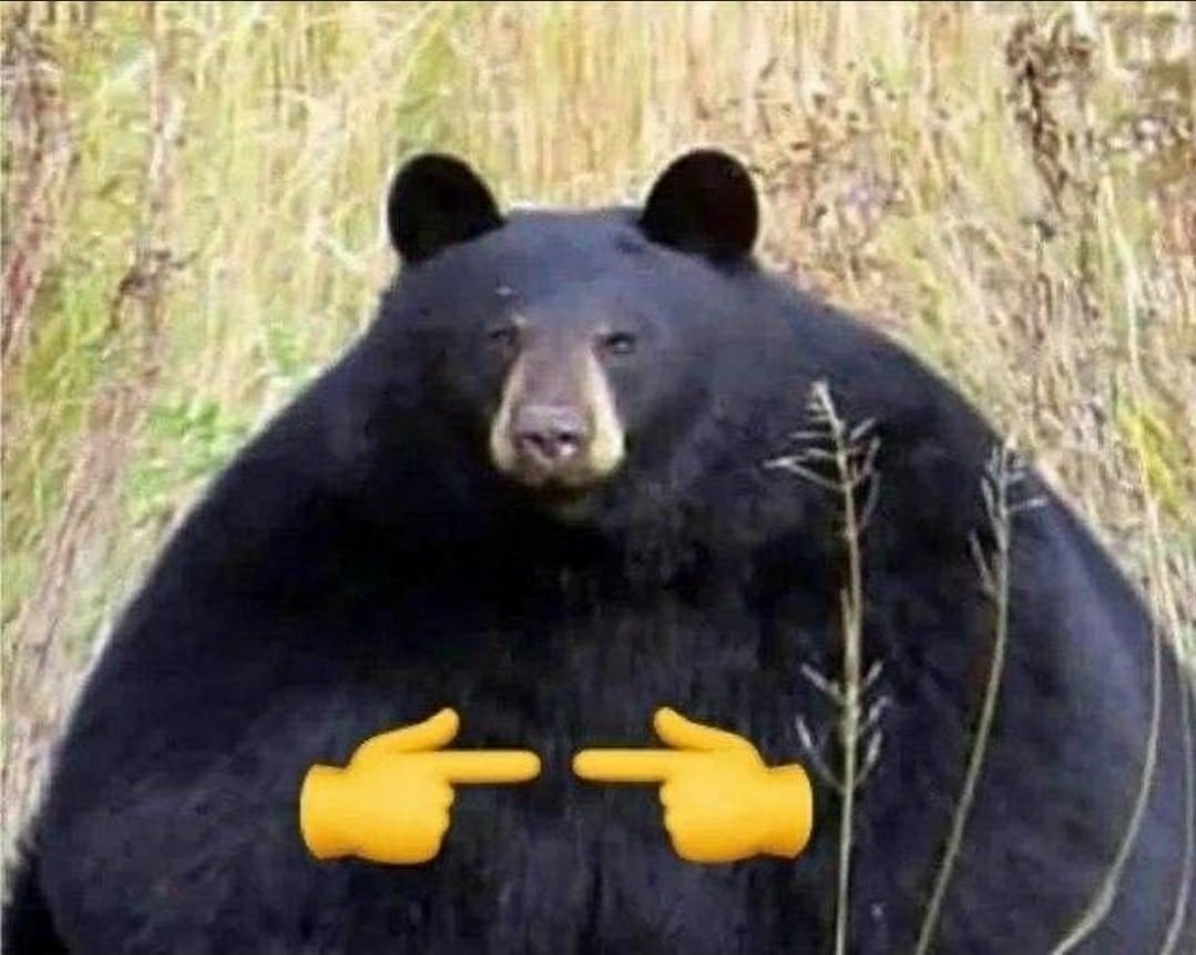 Стеснительный медведь