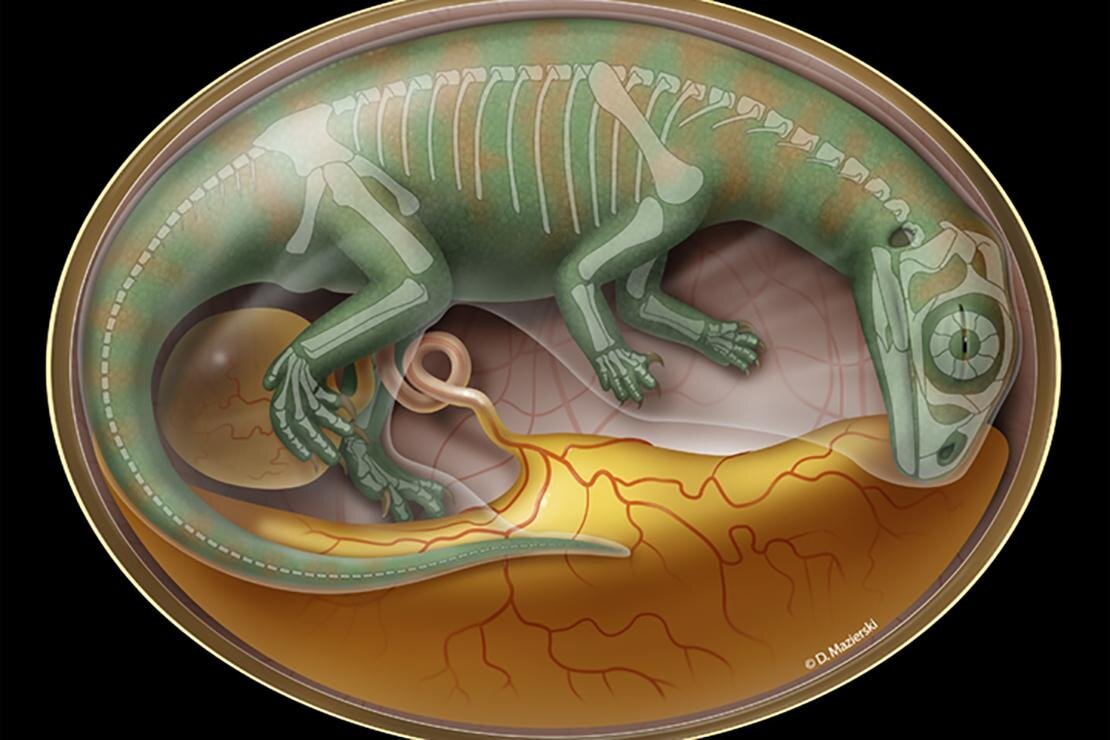 Динозавр с яйцом