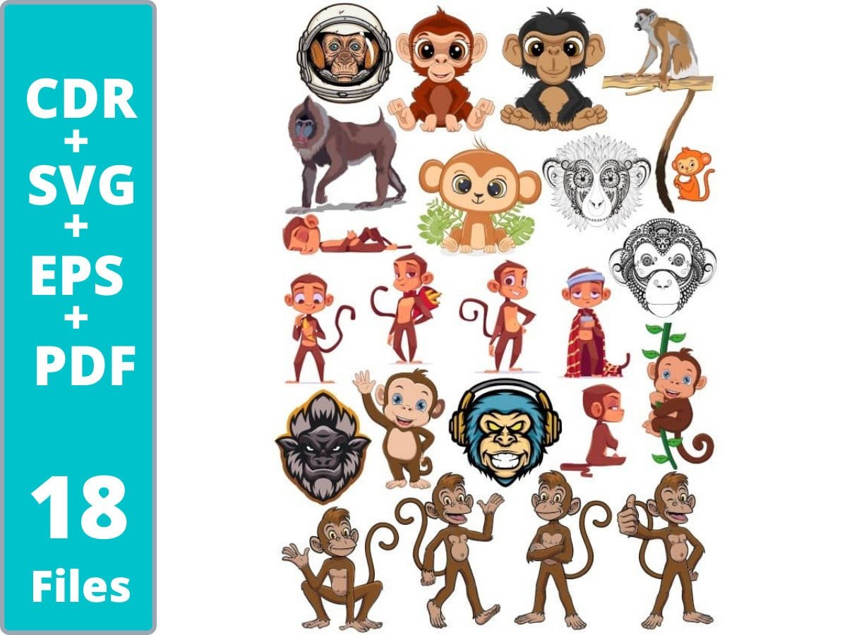 Пиратская обезьяна картинки для детей