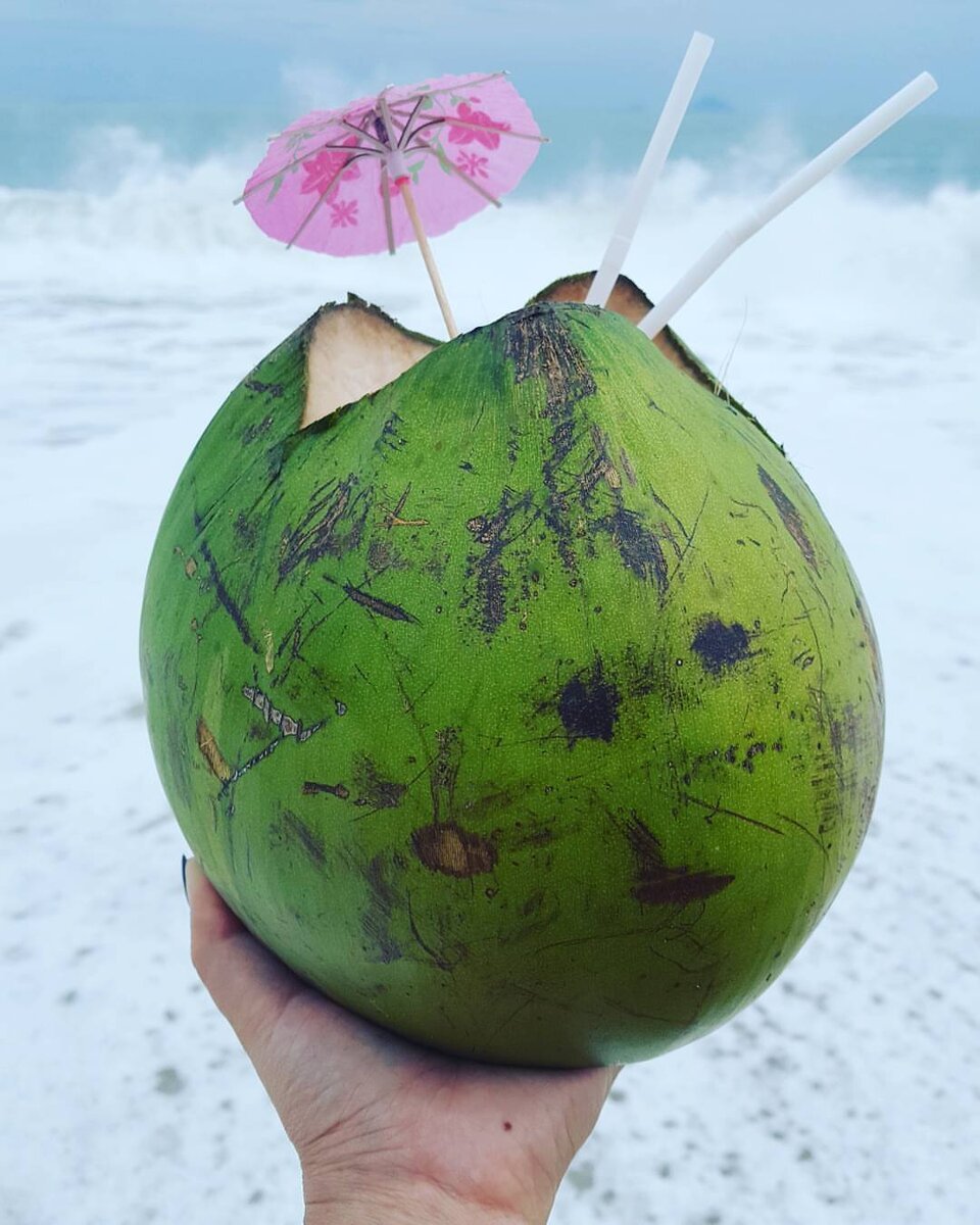 Coconut Flower в Египте
