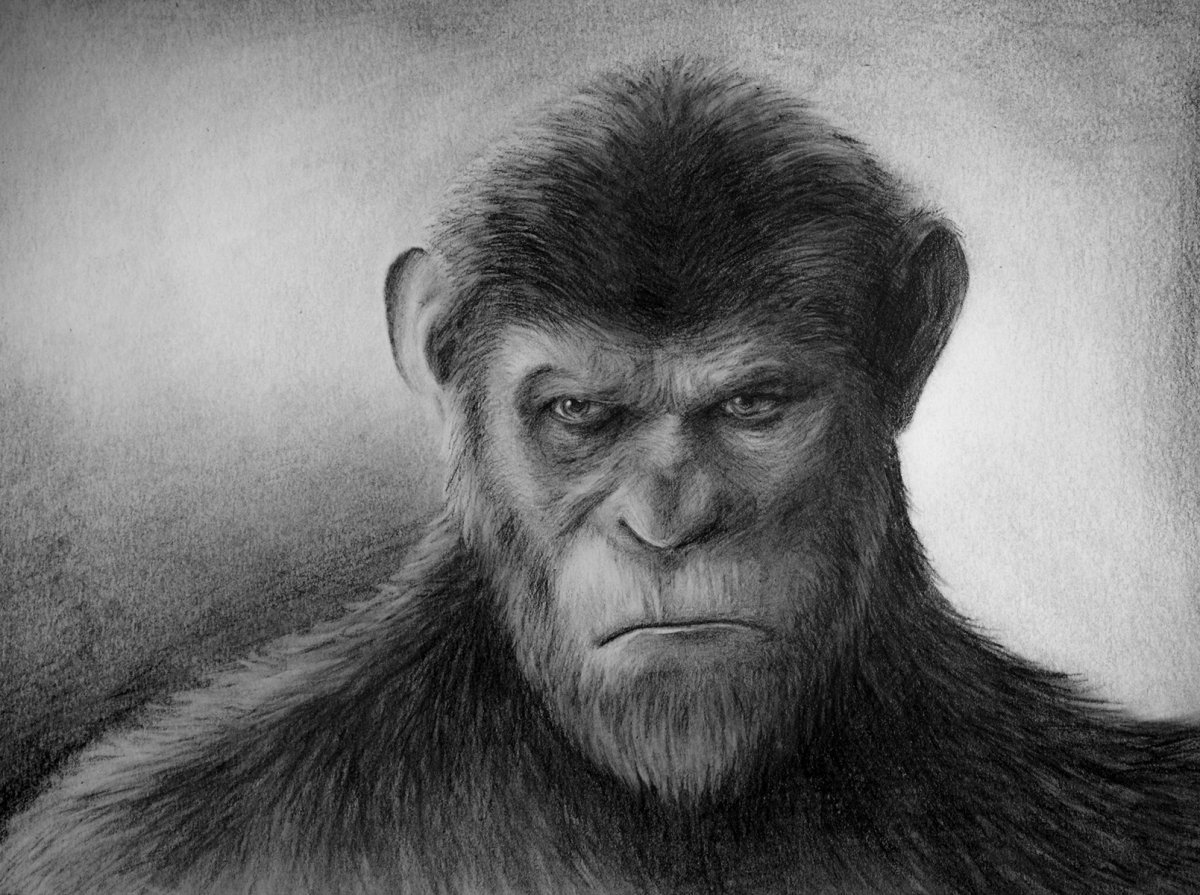 Планета обезьян шимпанзе Цезарь