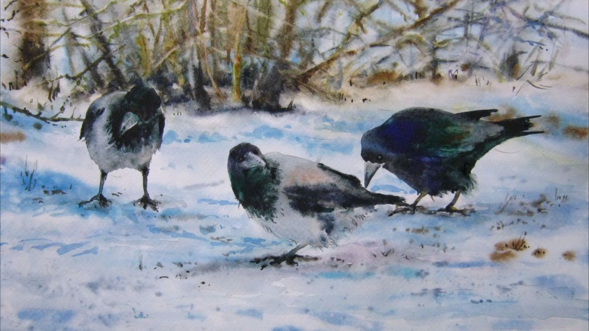 Птичка и снег живопись