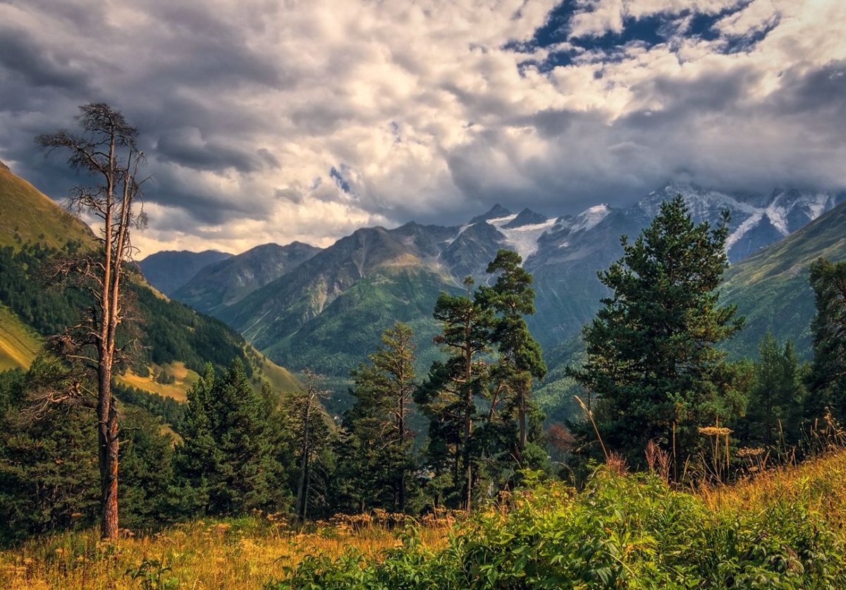 Природа Кабардино-Балкарии