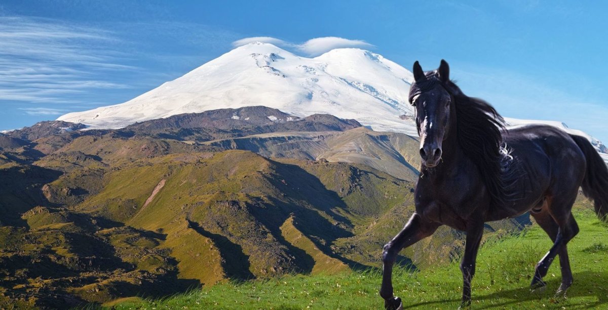 Кабардино Балкария лошади джигит