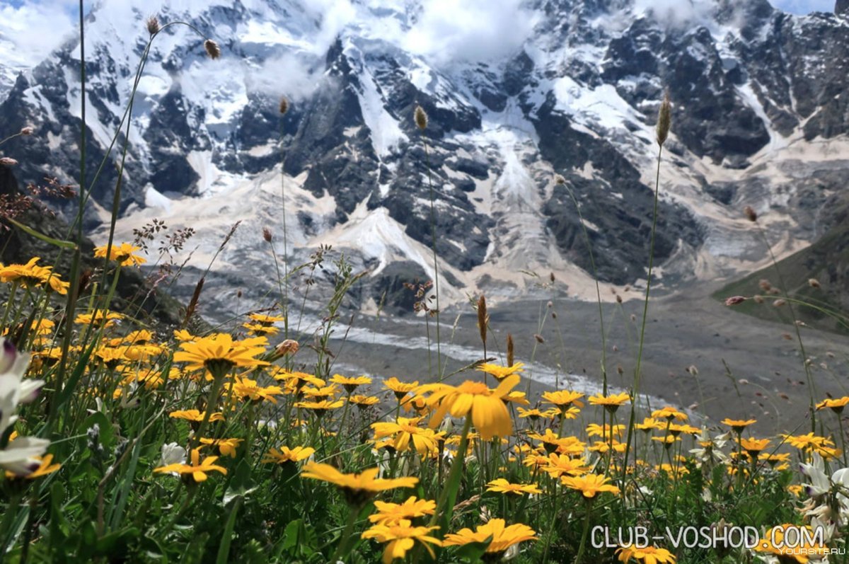 Кабардино-Балкария Безенгийское ущелье