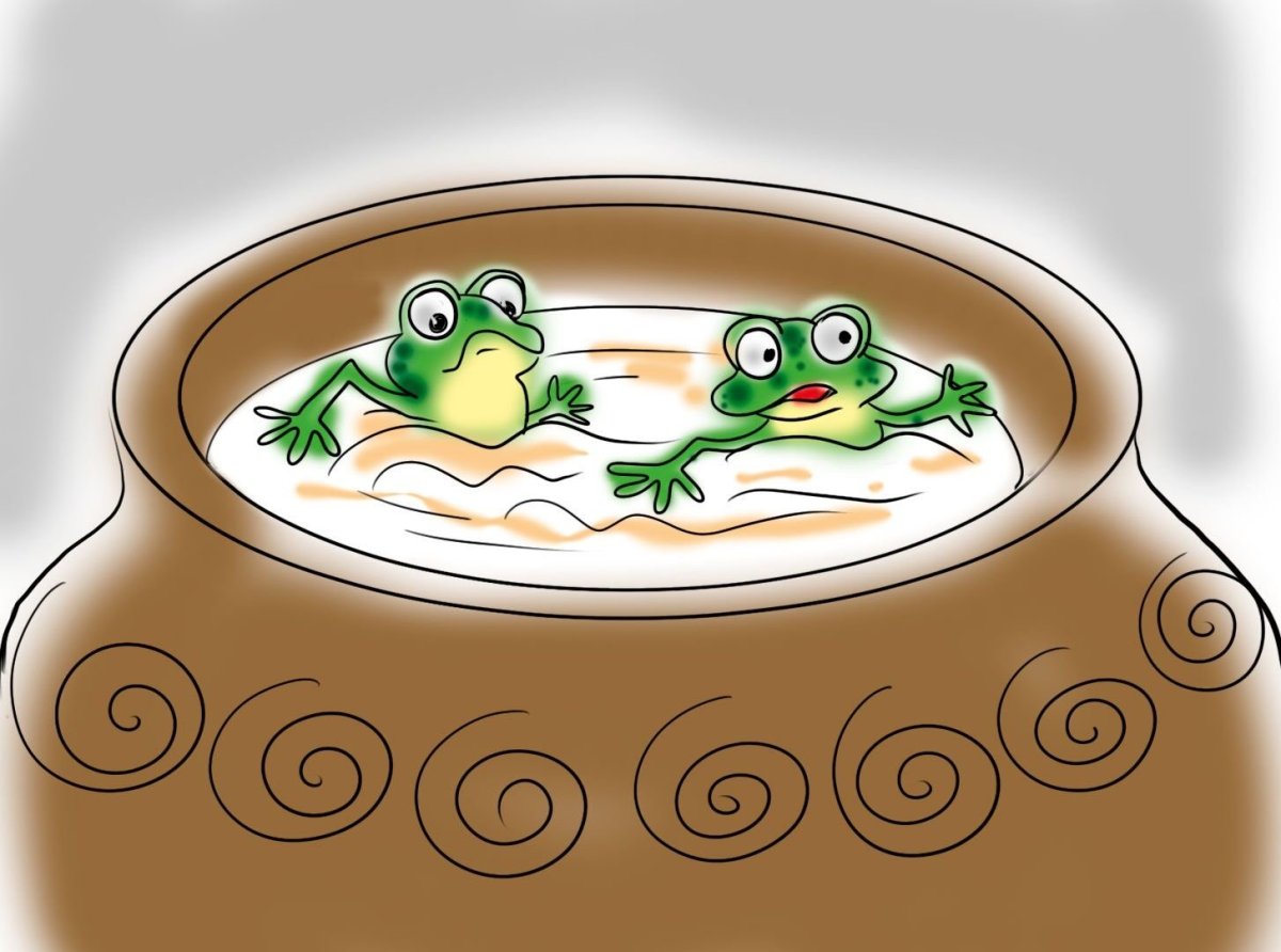 Две лягушки Пантелеев иллюстрации