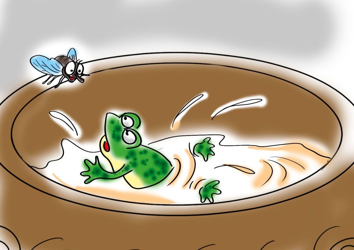 Две лягушки